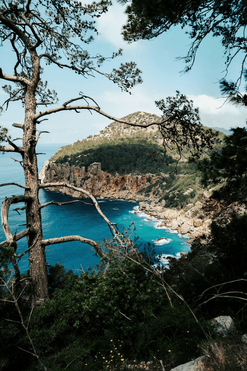 Ibiza image