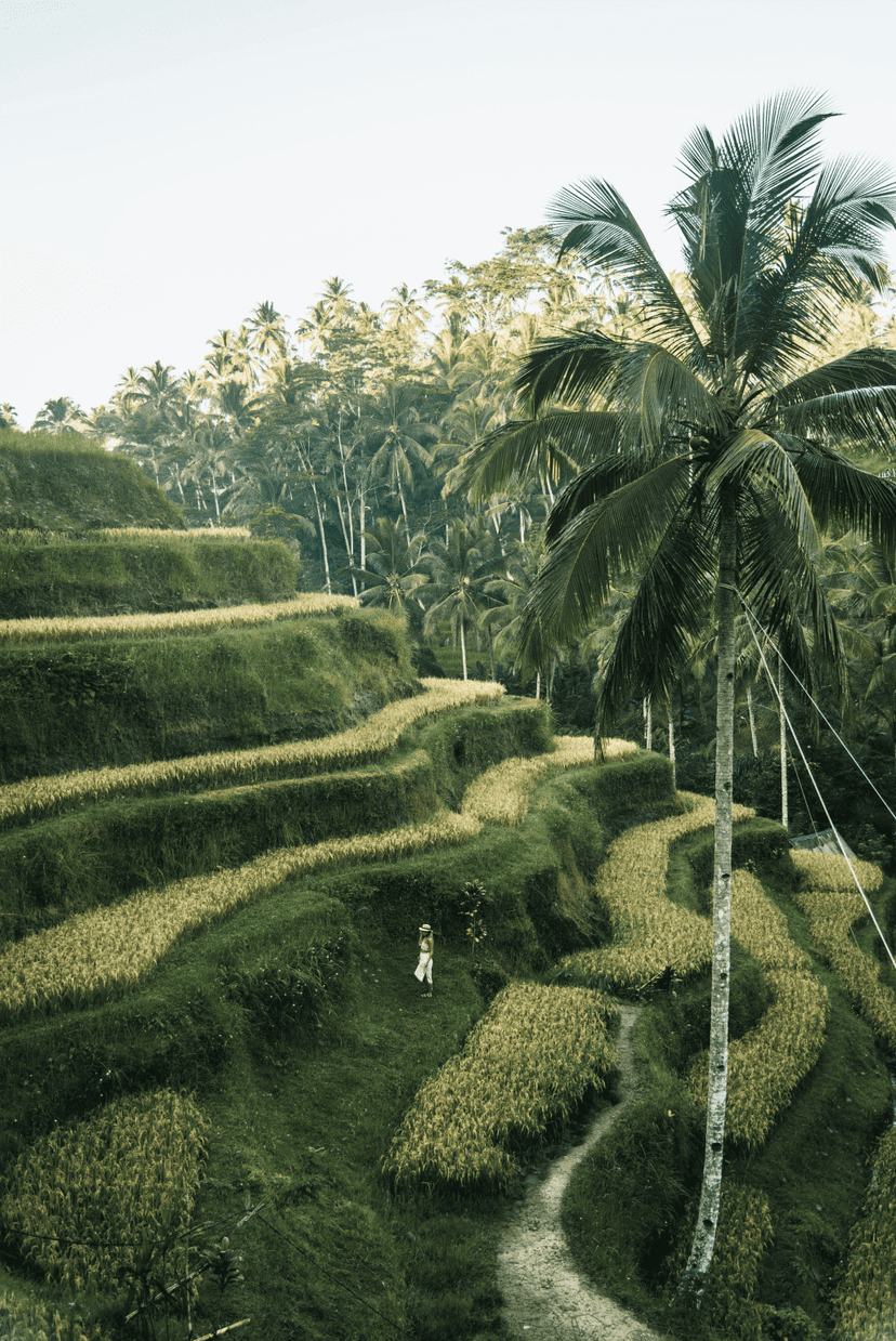 Bali image